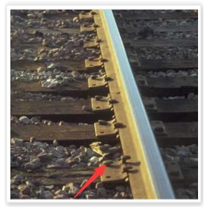 Railway spike, dog spike , track spike, Rail nail